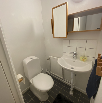 Sundsvall Basgränd Badrum