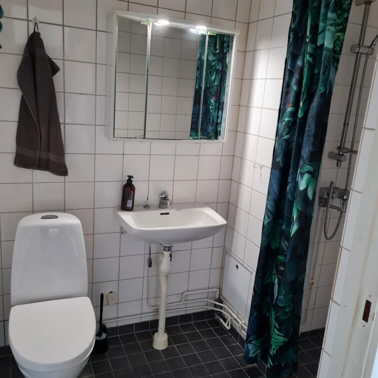 Trelleborg Liljeborgsgatan Badrum
